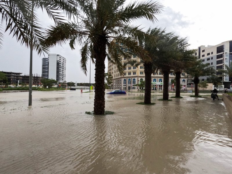 두바이에 폭우가 내려 거리가 물에 잠겼다. 가로수인 야자수가 을씨년스럽다. ⓒ사진 뉴스1