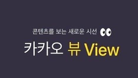 카카오뷰, 사용해보니 어때요?