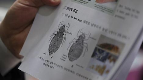 빈대, 니가 왜 거기서 나와?