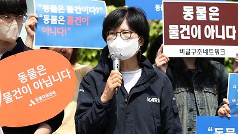 개 식용 금지법 통과, 여러분의 생각은?