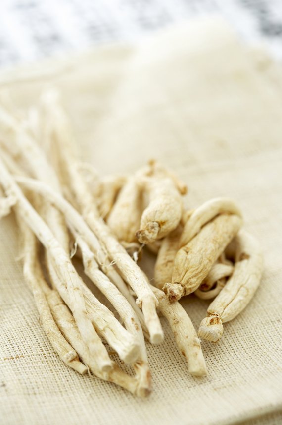 기관지 보호에 좋은 도라지. ©사진 News1