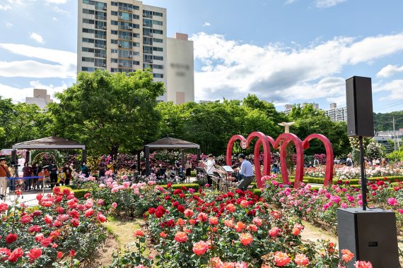 달서구 '2021 장미꽃 필 Feel 무렵', 랜선 향연…20~22일 - 파이낸셜뉴스