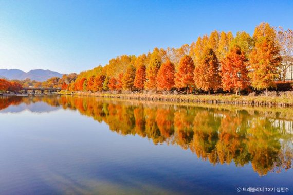 붉게 타들어가는 담양 관방제림 ⓒ한국관광공사 대한민국 구석구석/뉴시스