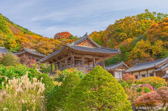 가을 단풍에 쌓인 영주 부석사. ⓒ한국관광공사 대한민국 구석구석/뉴시스