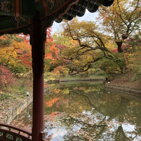 가을을 맞은 창덕궁. ⓒ문화재청/뉴시스, 2022년10월