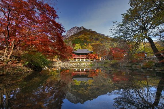 ⓒ문화재청 대변인실