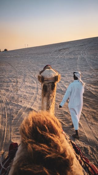 카타르 사막 투어의 낙타 라이딩 (Camel Riding) 체험 © Abuli Munavary / Unsplashed 2020년 7월