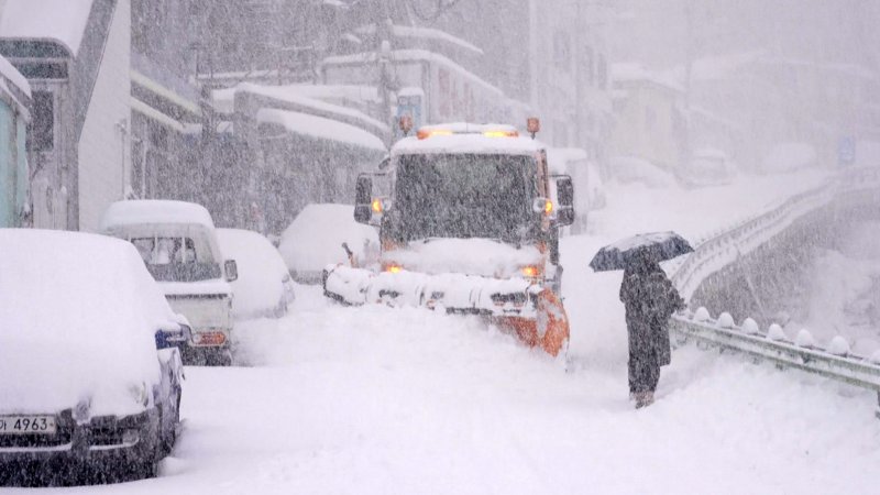 대설경보가 발효된 경북 울릉군 전역에 눈폭탄이 쏟아지고 있는 가운데 제설작업이 한창이다. 울릉군에 따르면 눈은 이날 새벽부터 내리기 시작해 오후 2시까지 50cm가 넘는 적설량을 기록했다. ⓒ사진 울릉군 제공, 2023년 1월 24일 뉴스1