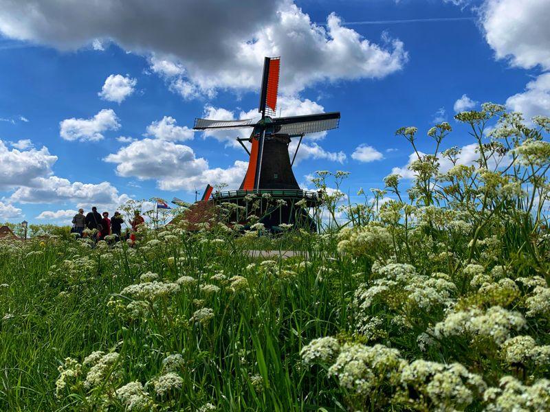 Zaanse Schans, Netherland © unsplash.com / Aswathy N