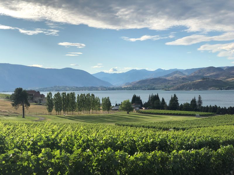 아름다운 포도 농장의 풍경. 포도가 자라는 데 영향을 미치는 모든 요소를 '테루아'라고 한다. ⓒ사진 ideadad on Unsplash