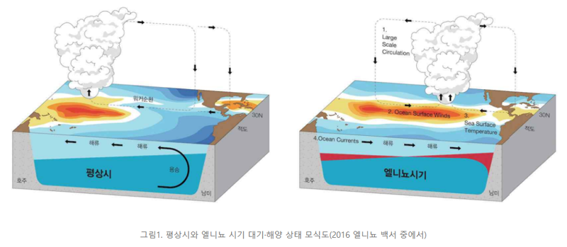 열대 동태평양과 중태평양의 해수면 온도가 평상시보다 0.5℃ 높은 상태로 5개월 이상 지속되면 그 첫 달을 엘니뇨가 발생한 달로 본다. 그래픽은 기상청에서 발행한 <2016 엘니뇨 백서>의 평상시와 엘니뇨 시기의 해양·대기 상태를 비교한 모식도다. ⓒ그래픽 기상청