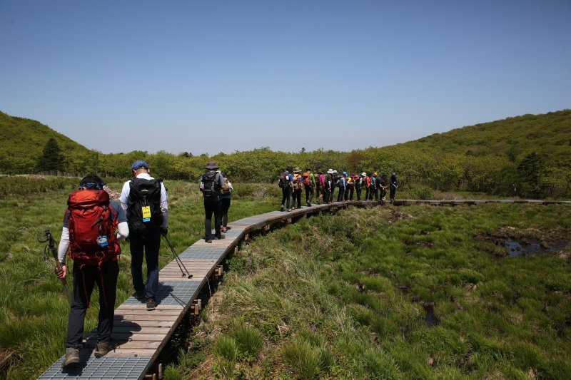 대암산 용늪 탐사. ⓒ사진 양구군 제공, 뉴스1