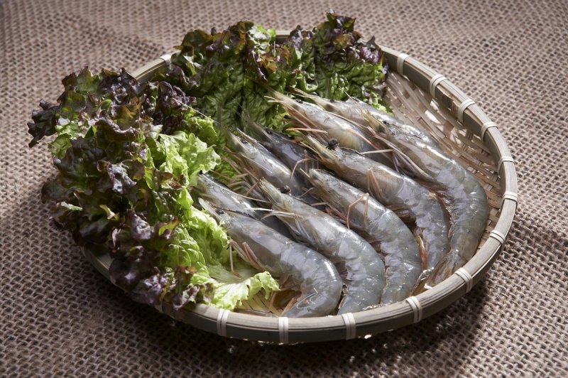 남당항 대하. ⓒ사진 홍성군 제공, 연합뉴스