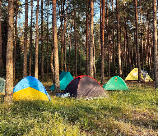 캠핑. ⓒOlga Budko on Unsplash