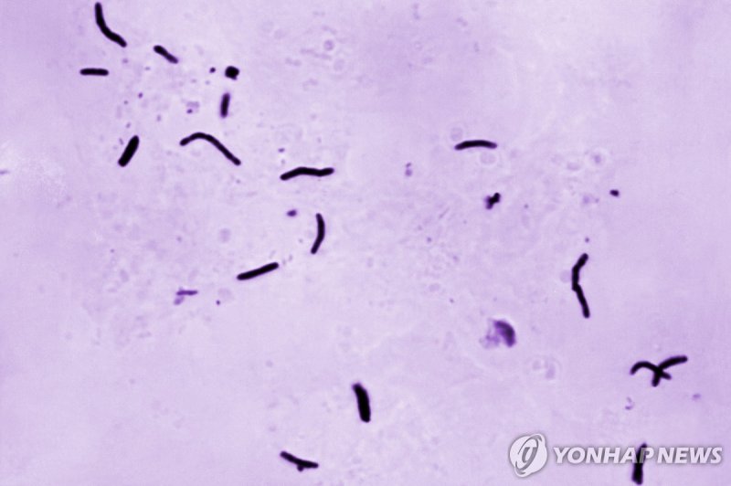 (출처=연합뉴스)