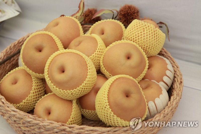 사진=연합뉴스