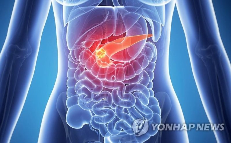 사진=연합뉴스