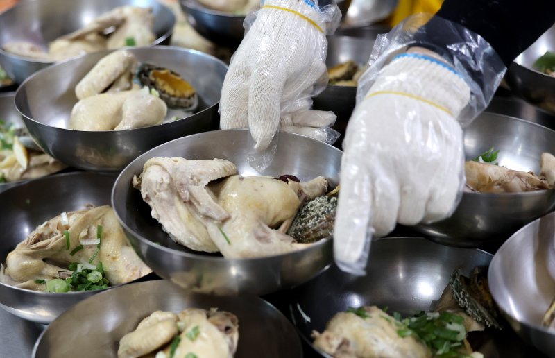 복날(초복, 중복, 말복) 대표 보양식 삼계탕. 사진=뉴시스