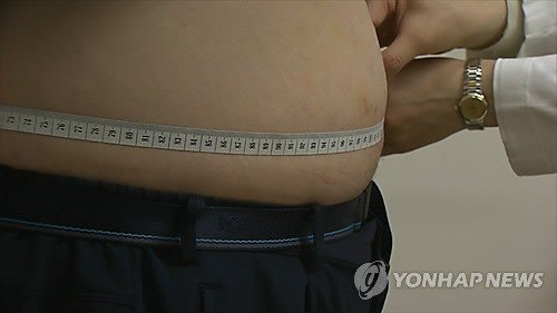 비만은 당뇨 발병률을 3배에서 최대 7배까지 높이는 요인으로 나타났다. 사진=연합뉴스