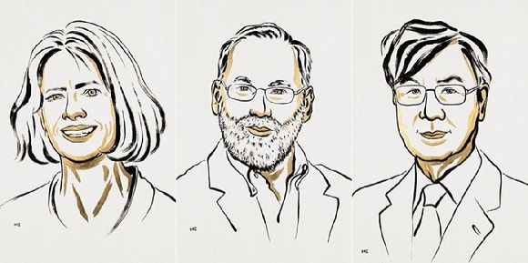 2025 노벨 생리·의학상 수상자의 초상화. 왼쪽부터 매리 E.블랑코 박사, 프레드 램스델 박사, 사카구치 시몬 교수. 사진=The Nobel Prize