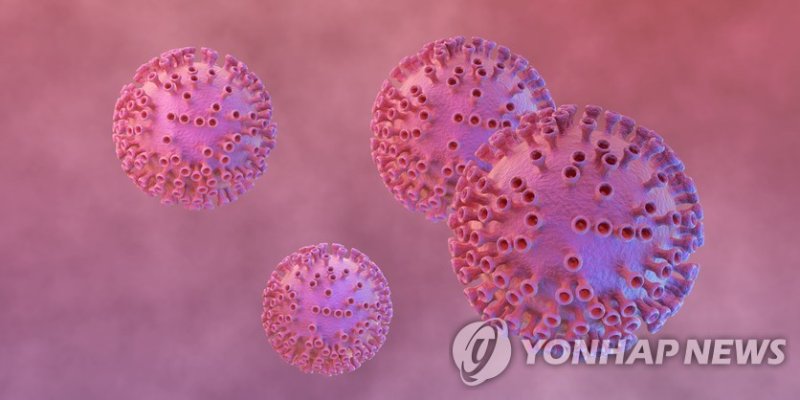 B형 간염 바이러스. /사진=연합뉴스