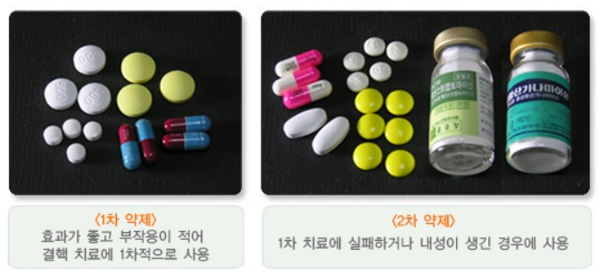 결핵 완치를 위해서는 항결핵제를 6개월 이상 꾸준히 복용하는 것이 핵심이다. 환자가 임의로 약 복용을 중단하거나 불규칙하게 복용할 경우 결핵균이 다시 증식하면서 약에 저항성을 가진 내성균이 출현하는 약제 내성 결핵에 걸릴 수 있다. 약제 내성 결핵에 걸리면 치료 기간은 18개월 이상으로 늘어나고 복용해야 할 치료약의 종류도 더 많아진다. /보건복지부, 대한의학회